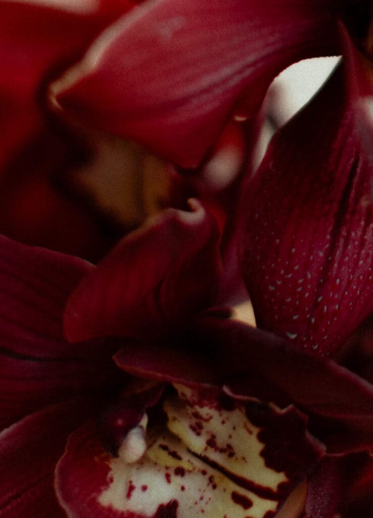Trending color on the Pinterest wedding trends report: merlot